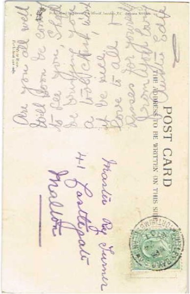 画像2: 三毛猫と3匹の子犬  Helena Maguire (2)