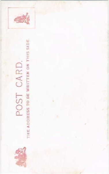 画像2: 猫のおばあちゃん (未使用) (2)