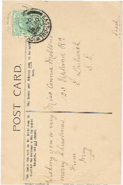 画像2: 鏡の前の猫 (2)