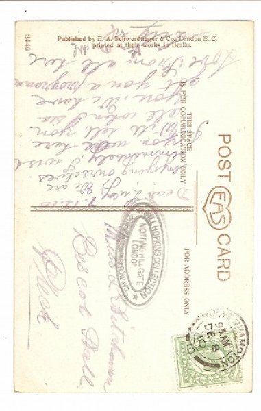 画像2: 薔薇のお花と女の子 レース (2)