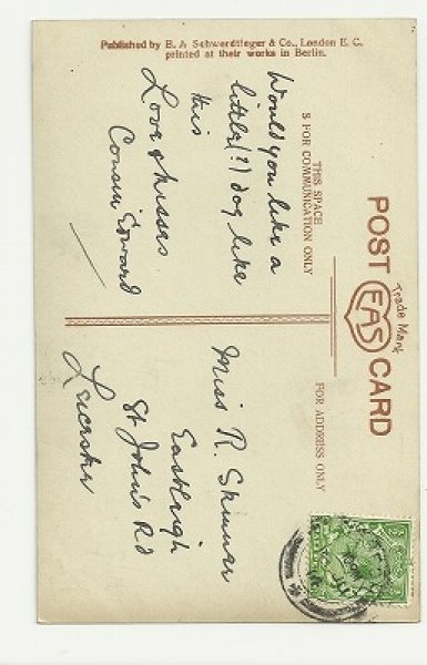 画像2: 犬と女の子 小さな理容師さん (2)