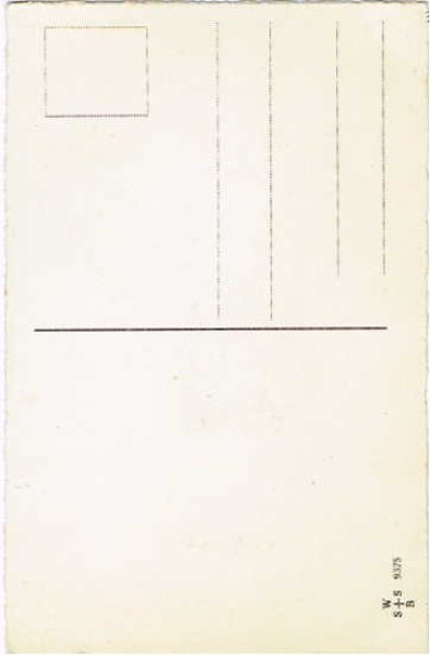 画像2: 子豚を抱く女の子 (未使用) (2)