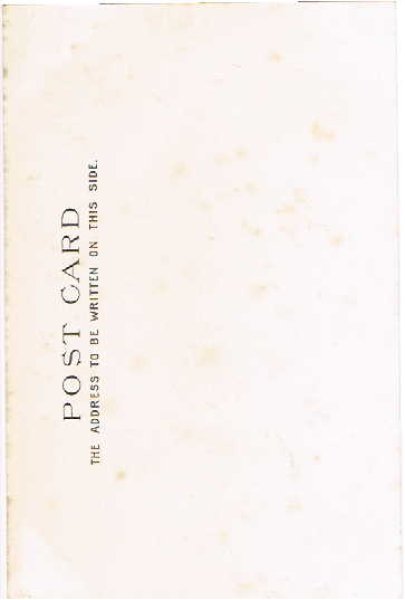 画像2: みんなで遊ぶ豚 Helena Maguire (2)