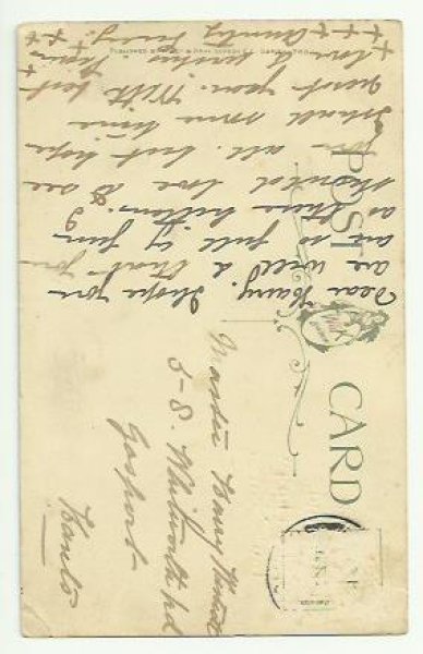 画像2: 猫の輪っかくぐり Helena Maguire  (2)