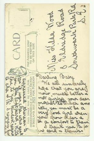 画像2: 猫と犬 Helena Maguire  (2)