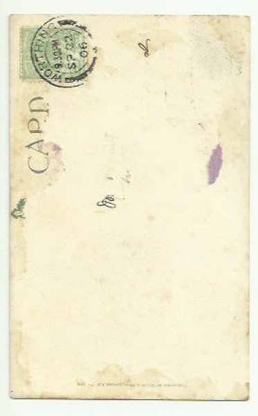 画像2: 猫と犬 Helena Maguire  (2)