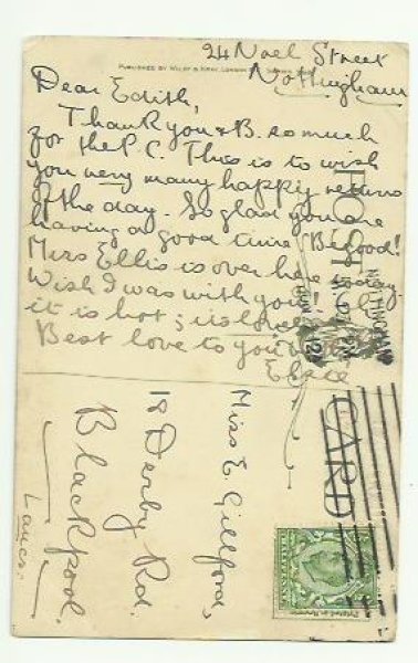 画像2: 猫と犬のシーソー Helena Maguire  (2)