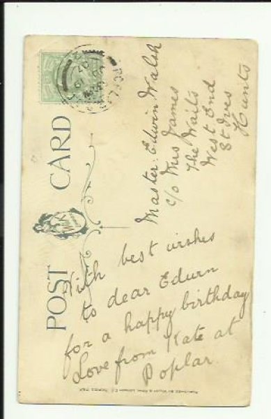 画像2: テニスをする猫 Helena Maguire (2)