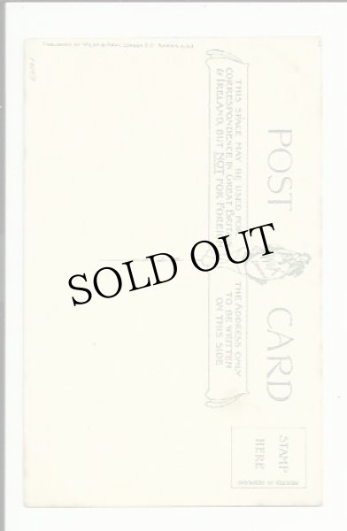 画像2: ニンジンと猫 Helena Maguire (未使用) (2)