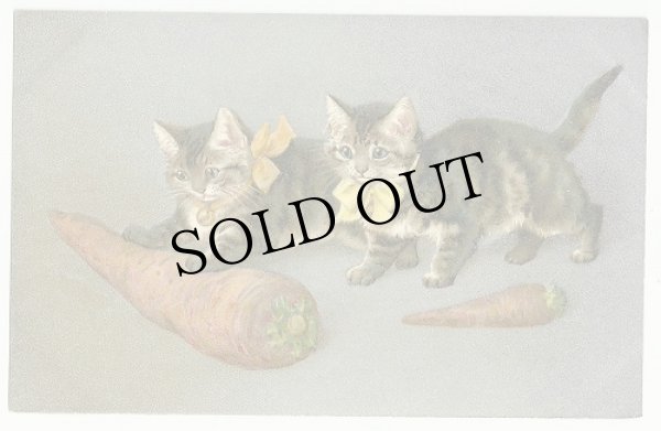 画像1: ニンジンと猫 Helena Maguire (未使用) (1)