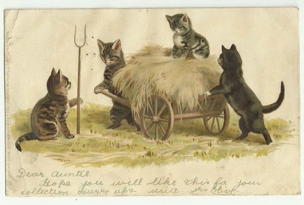 画像1: 藁を集める猫たち　Helena Maguire  (1)