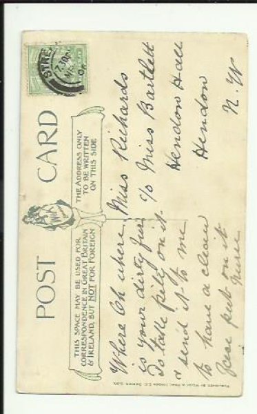 画像2: ギターを弾く猫 愛の弾き語り Helena Maguire (2)