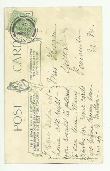 画像2: パグ犬に囲まれた子猫 Helena Maguire  (2)