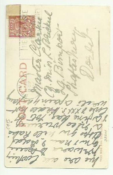 画像2: 猫の曲芸師さん Helena Maguire  (2)