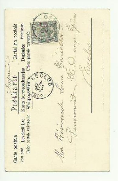 画像2: みんなでお出かけする猫 Helena Maguire  (2)