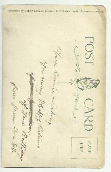 画像2: スミレのお花と猫 Helena Maguire  (2)