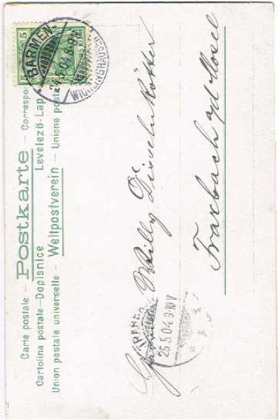 画像2: お風呂上りの猫 Helena Maguire  (2)