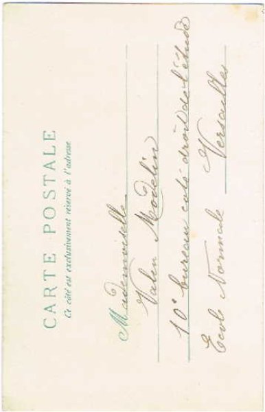 画像2: 犬と猫 Helena Maguire  (2)