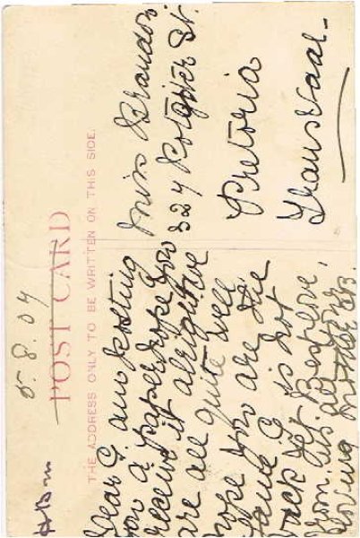 画像2: 自転車に乗る犬と猫 Helena Maguire  (2)