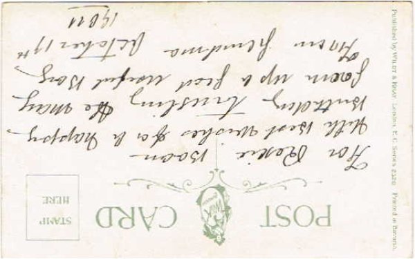 画像2: クリケットをする猫 Helena Maguire  (2)