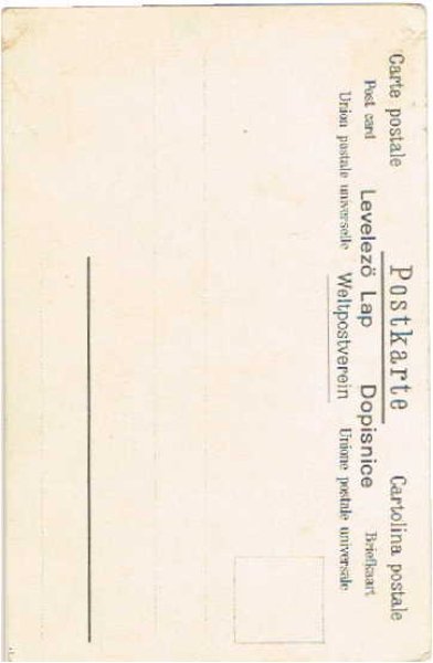 画像2: 流されるジャックラッセルテリア犬の家族 Helena Maguire  (未使用) (2)