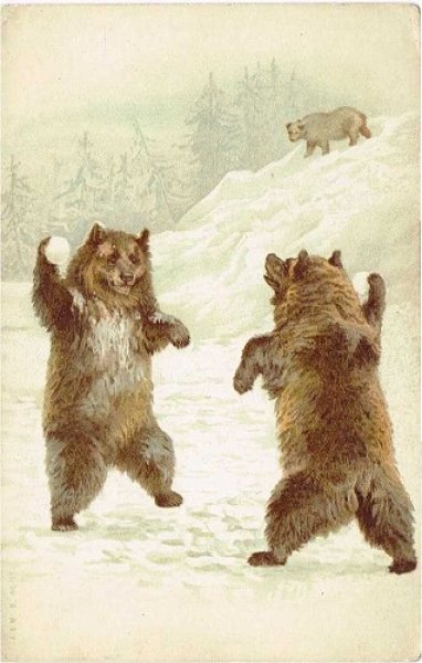 画像1: 雪合戦をする熊　Helena Maguire （未使用） (1)