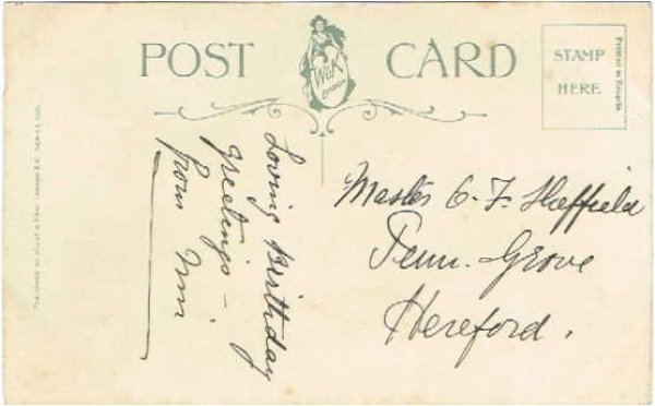 画像2: 花瓶のお花と猫 Helena Maguire  (2)