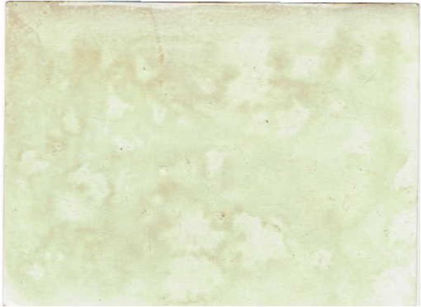 画像2: シーソーと犬 Helena Maguire  (2)