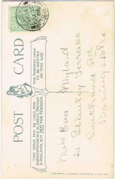 画像2: 猫の軽業師 Helena Maguire  (2)