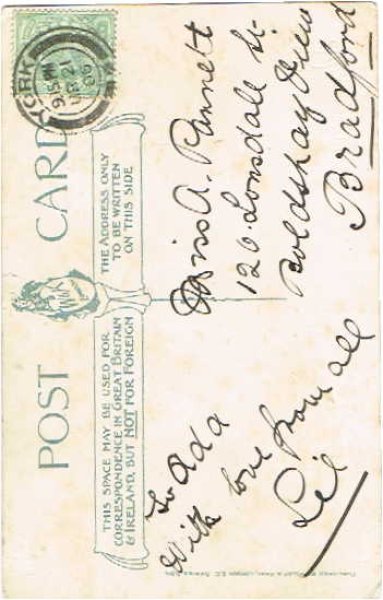 画像2: アコーディオンと猫　Helena Maguire  (2)