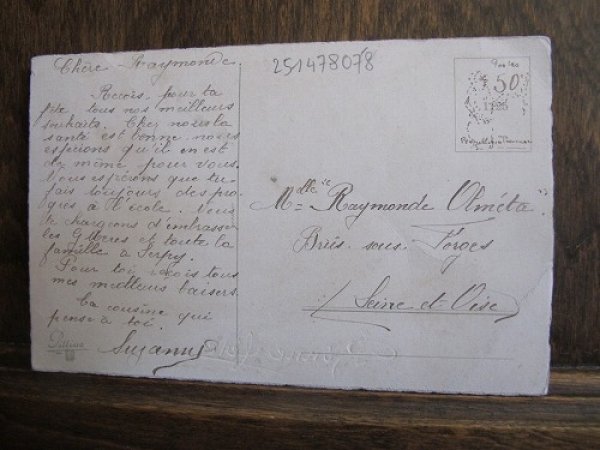 画像2: ブランコに乗る猫　Wally Fialkowska (2)