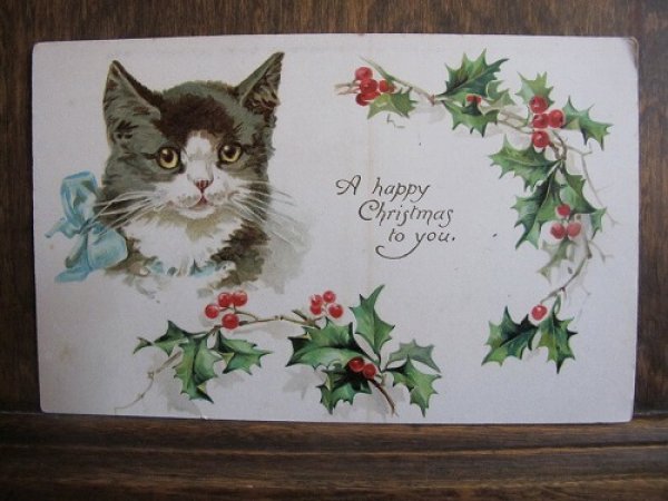 画像1: 猫のクリスマスカード Dorothy Travers Pope  (1)