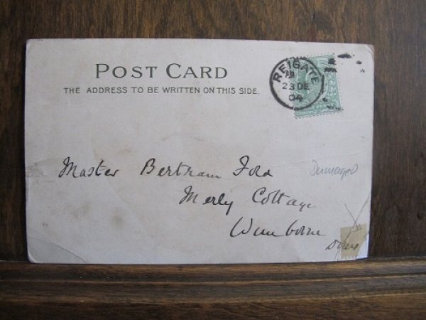 画像2: 夜更かしをする子猫たち (2)