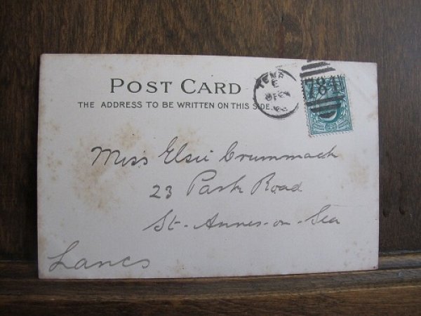 画像2: 猫のダンスレッスン (2)