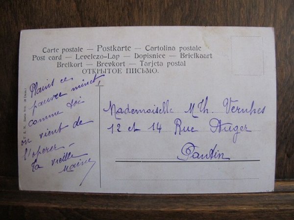 画像2: 怪我をした黒猫 Arthur Thiele (2)