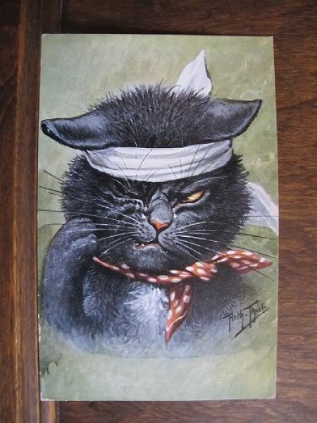 画像1: 怪我をした黒猫　Arthur Thiele (1)