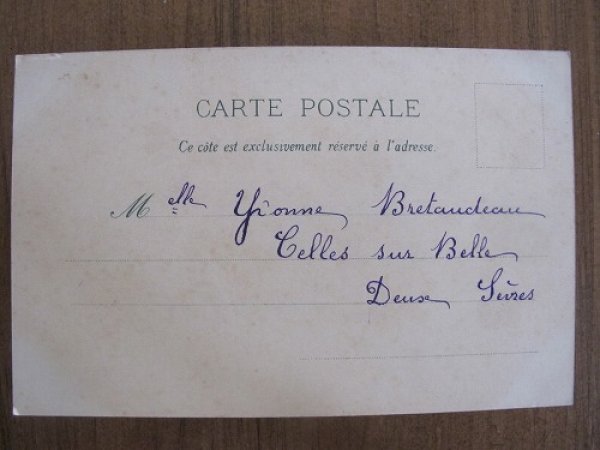 画像3: Langage des fleurs フランス 8の花言葉  (3)