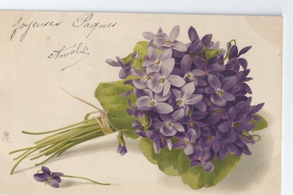 画像1: フランス　スミレのお花　1903年頃 (1)