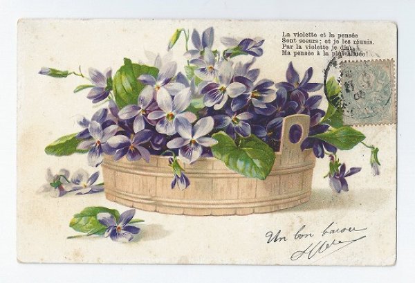 画像1: フランス　スミレのお花　1908年 (1)