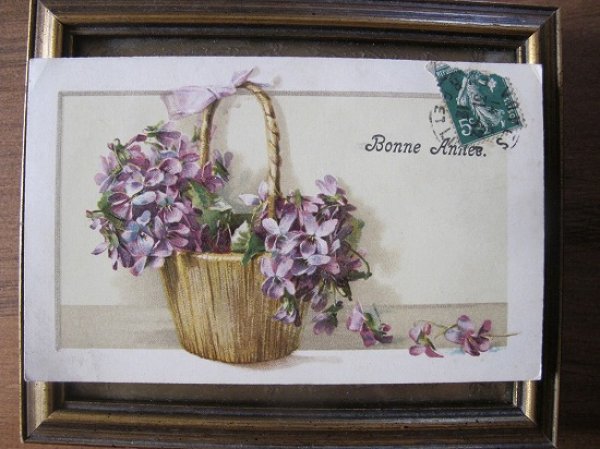 画像2: フランス スミレのお花 1912年 (2)