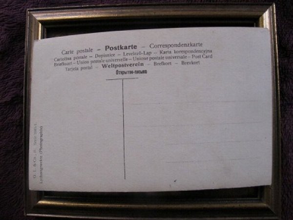 画像2: 女の子  (未使用) (2)