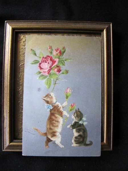 画像2: 猫の軽業師 薔薇乗せ芸  H.Maguire (2)