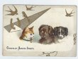 画像1: トレードカード　猫と犬とツバメと馬蹄　 Helena.Maguire  (1)
