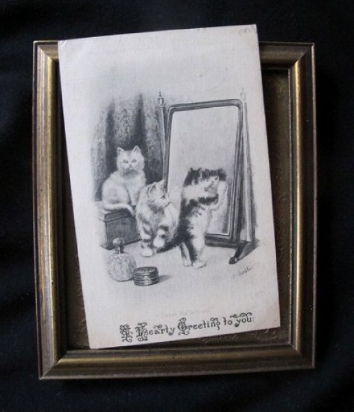 画像2: 鏡を見つめる3匹の子猫 Bastow (2)