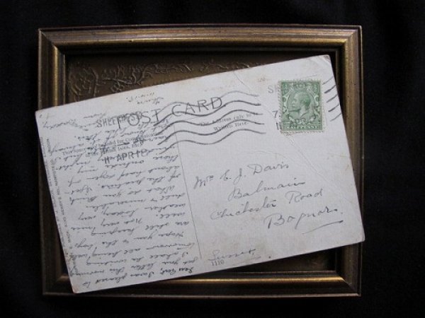 画像3: 戦争帰りじゃないけど・・・ 怪我をした猫 1918年  (3)