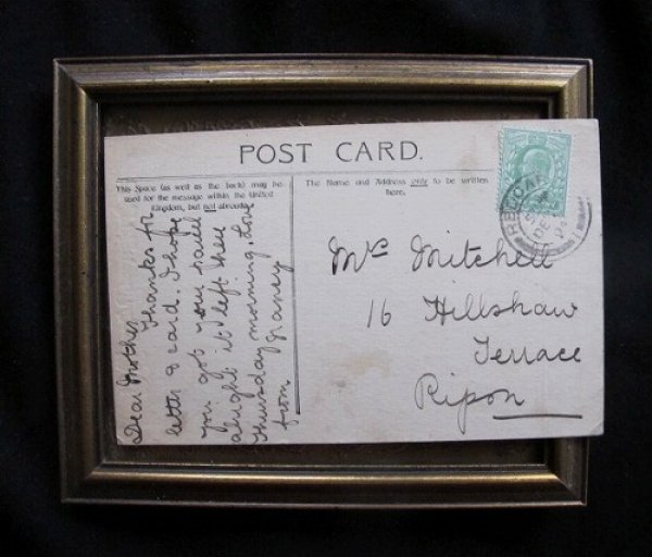 画像3: 鏡を見つめる3匹の子猫 Bastow (3)