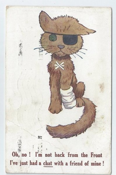 画像1: 戦争帰りじゃないけど・・・　怪我をした猫　1918年　 (1)