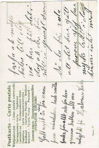 画像2: 芸をする豚さんと少年 1910年頃 (2)