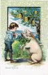 画像1: 芸をする豚さんと少年　1910年頃 (1)