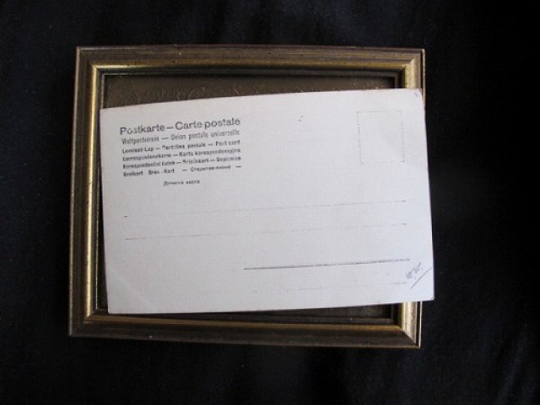 画像3: 白百合のお花と女の子 (未使用) (3)